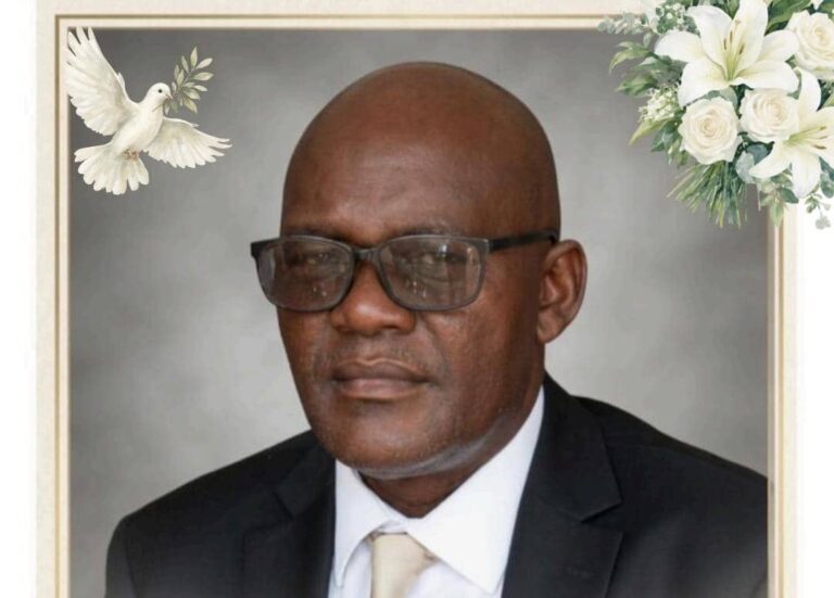 Jean Michel Wembi Lota